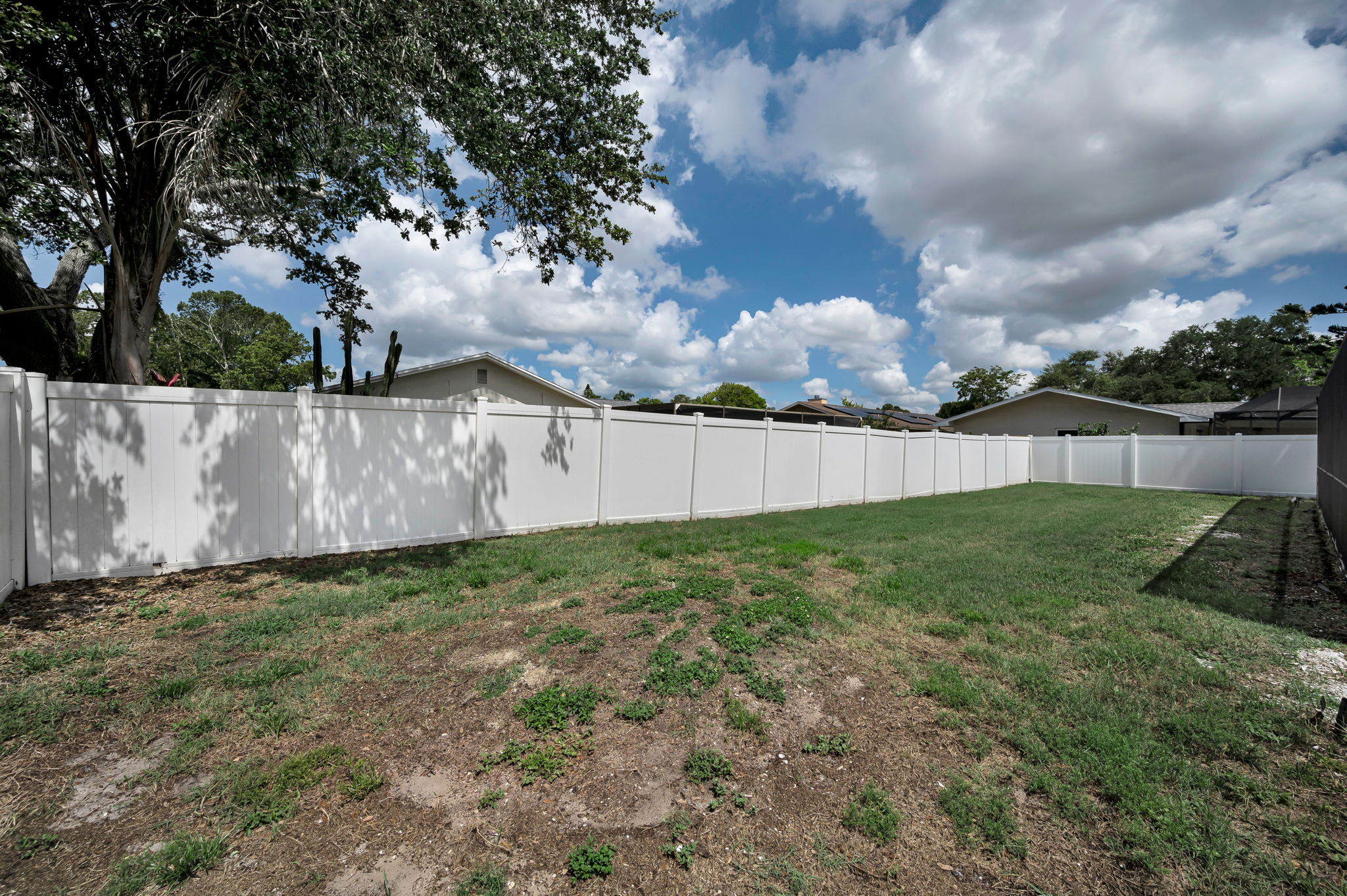 Backyard1