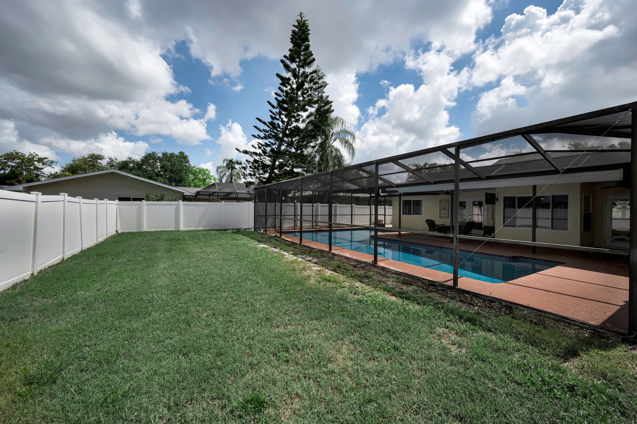 Backyard3