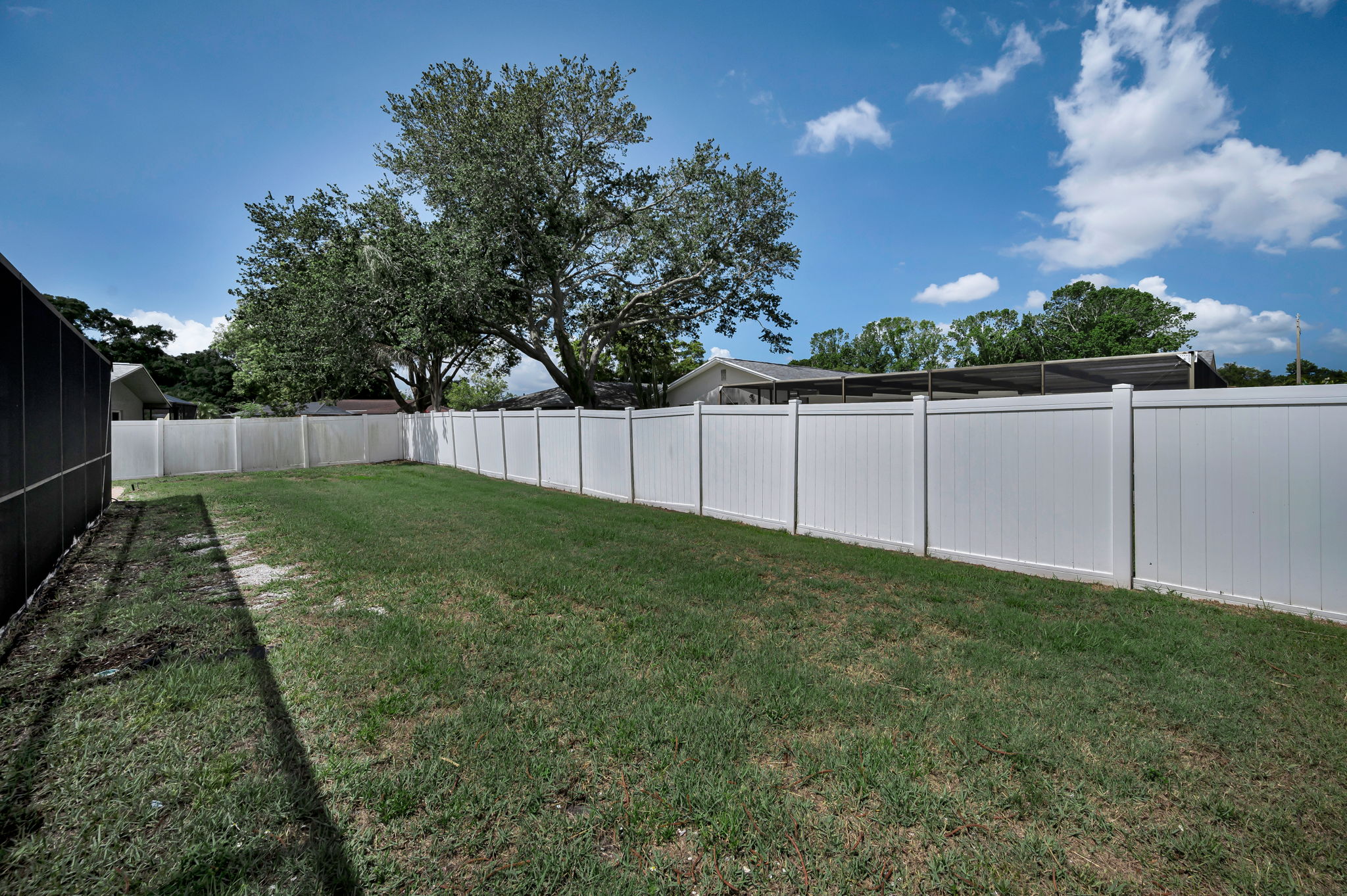 Backyard5