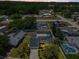 Aerial (1)