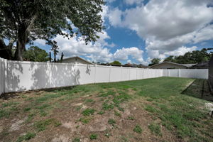 Backyard1