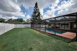 Backyard3