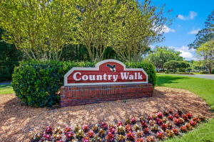 Country Walk