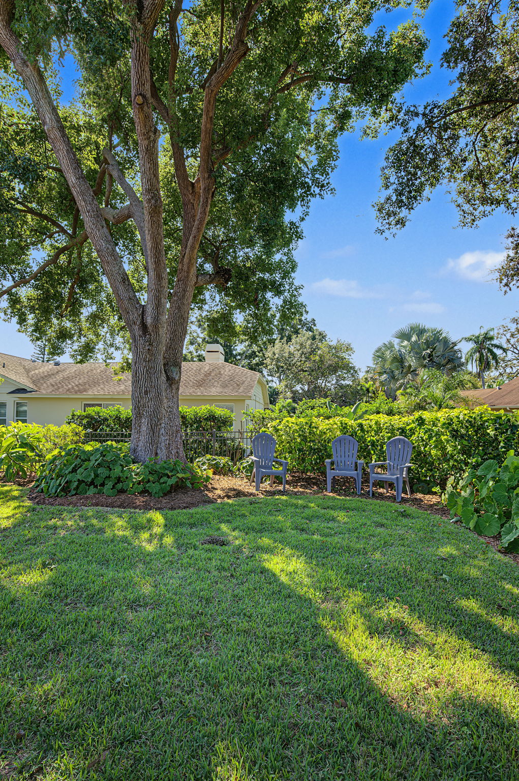 Backyard7