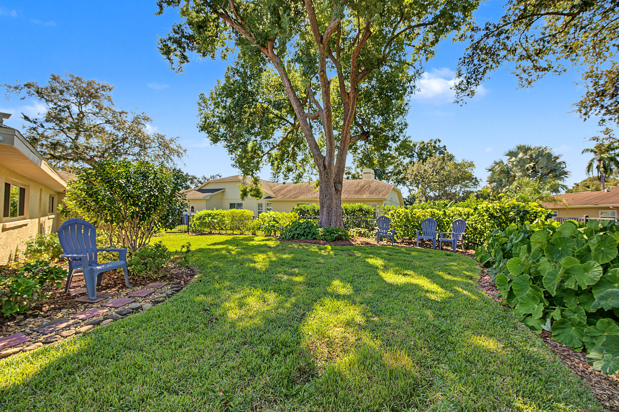 Backyard8