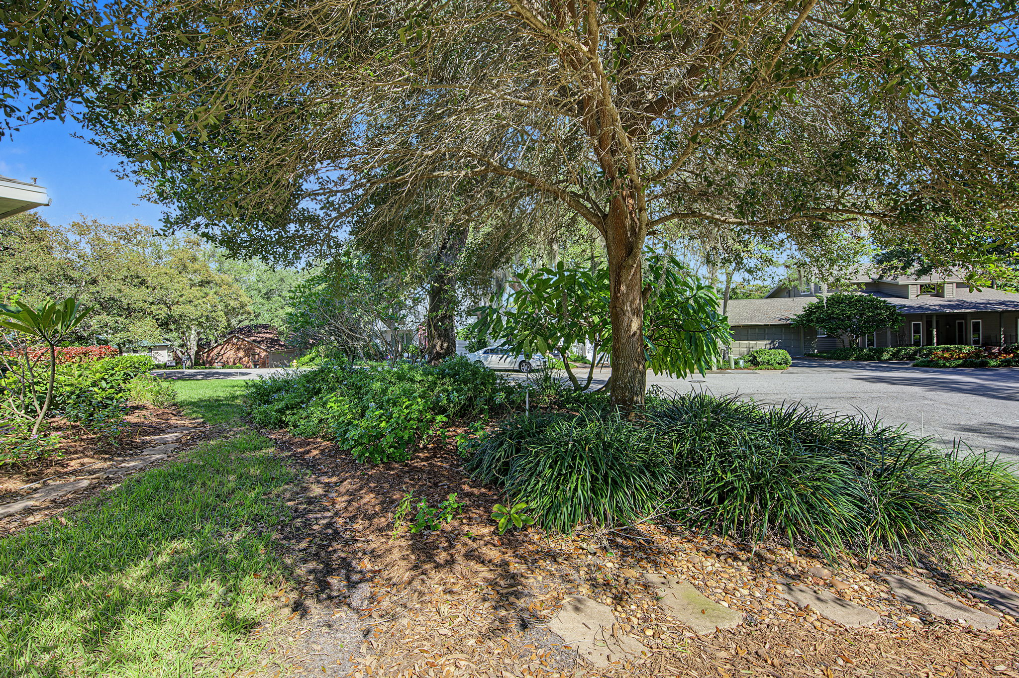 Frontyard2