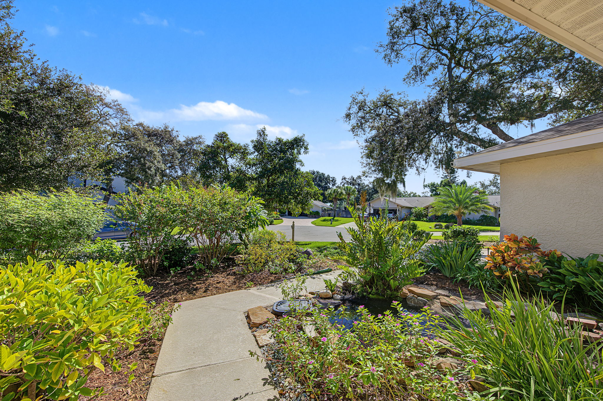 Frontyard4