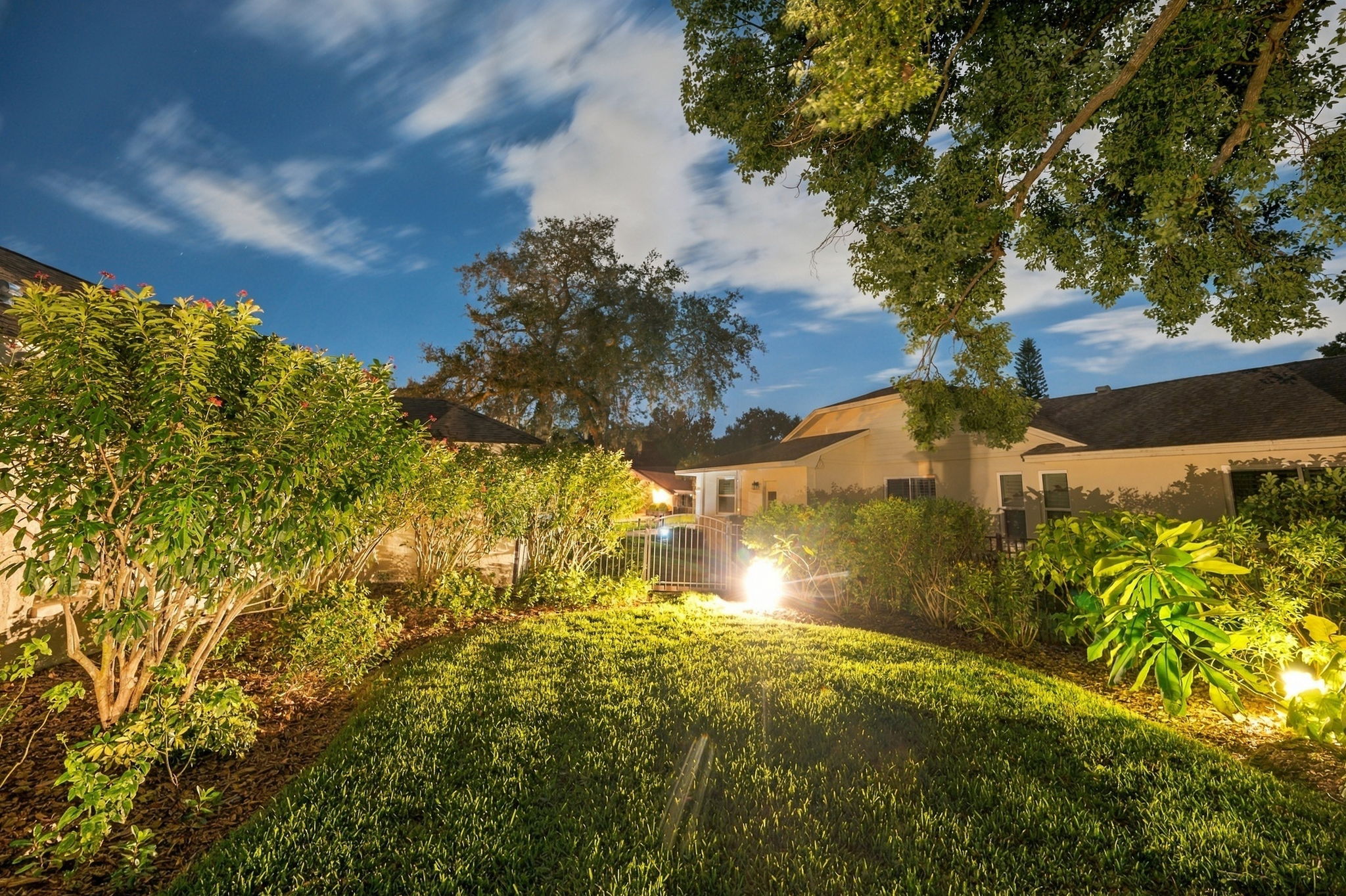 Backyard25