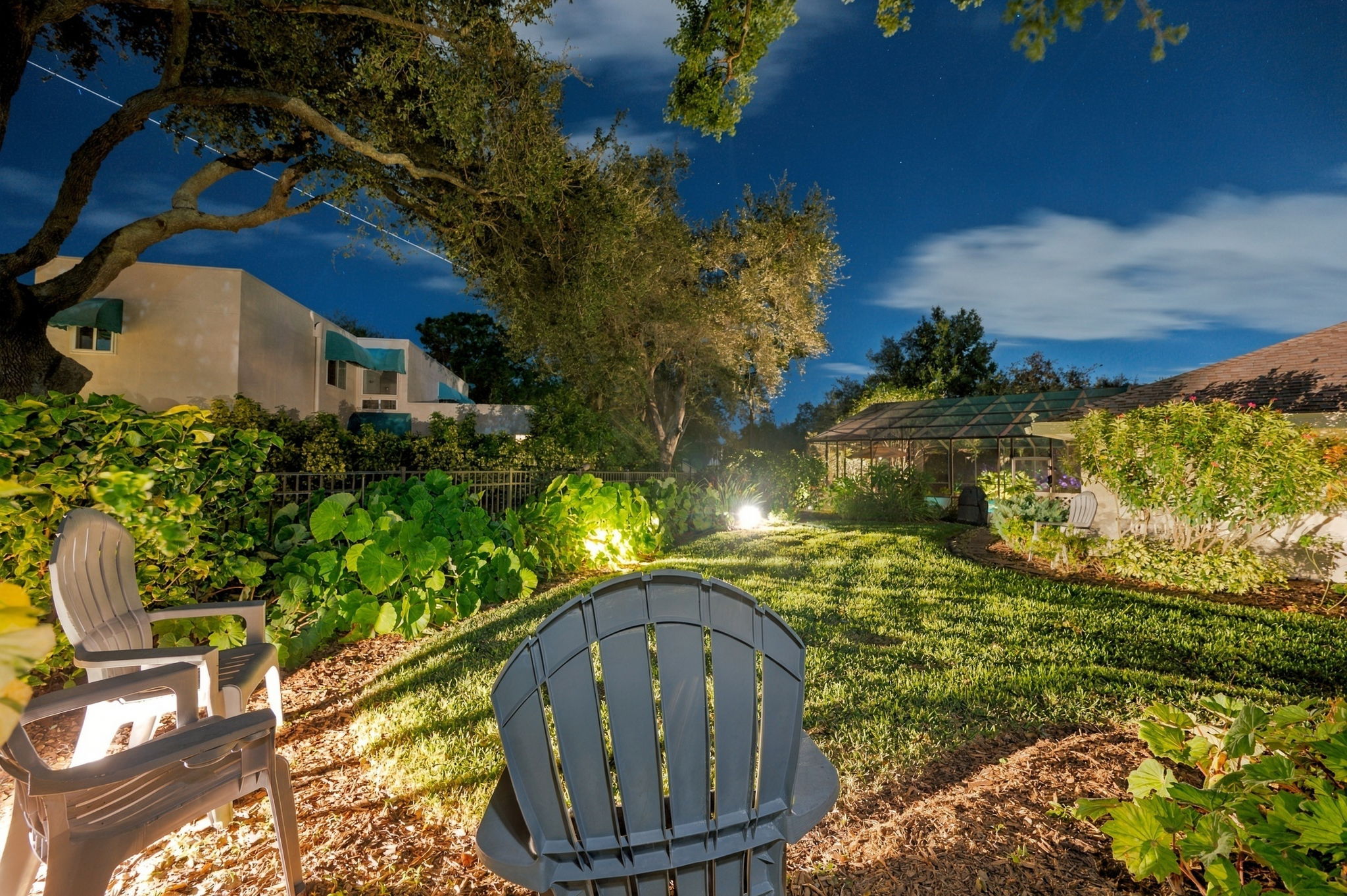 Backyard26v