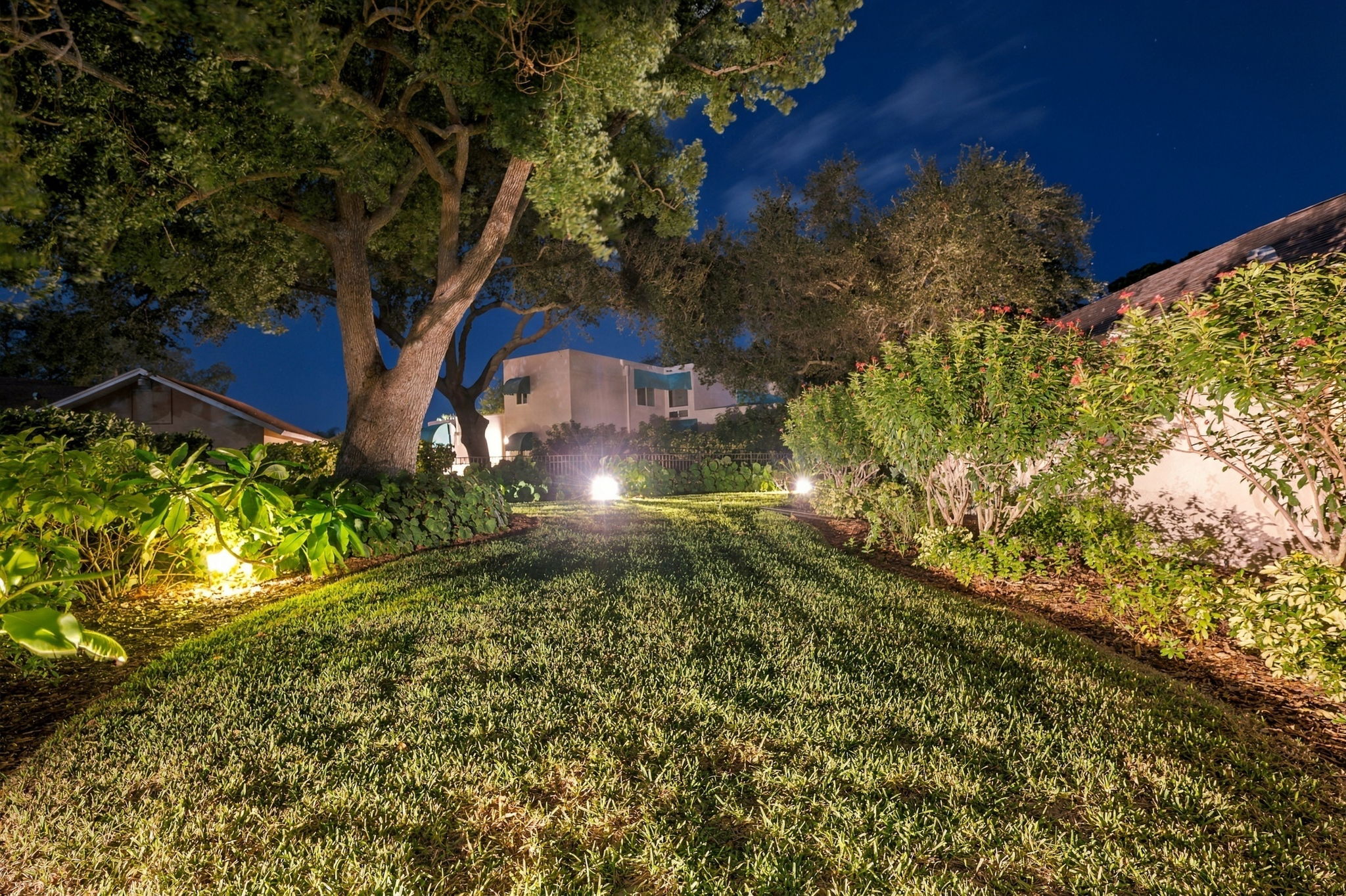 Backyard27