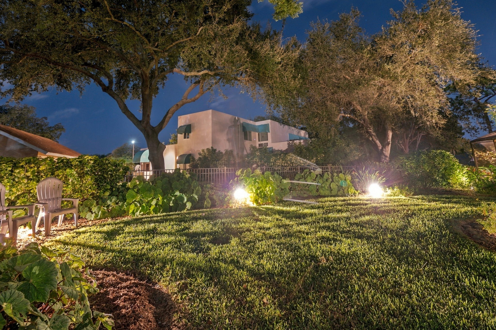 Backyard28