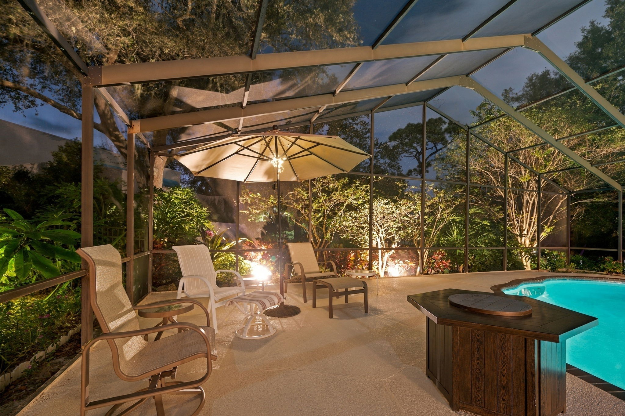 Patio and Pool20