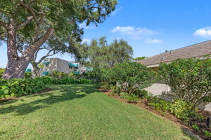 Backyard1
