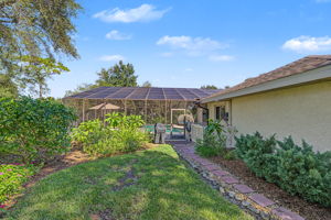 Backyard5