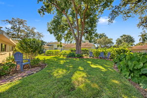 Backyard8