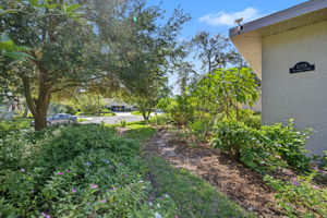 Frontyard1