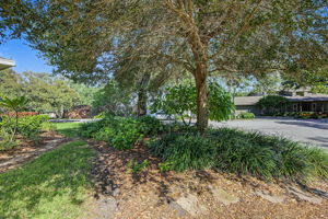 Frontyard2