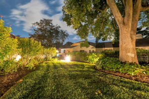 Backyard24