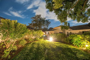Backyard25