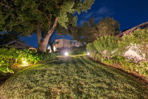 Backyard27