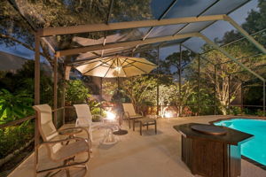 Patio and Pool20