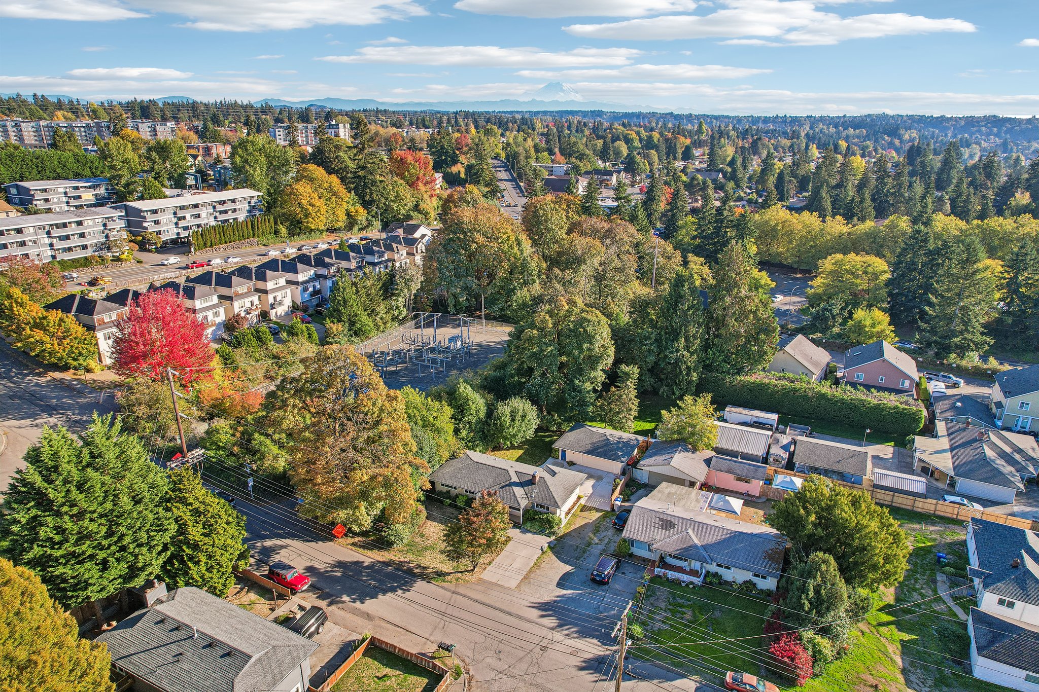 NE 12th St-S1610-056.jpg