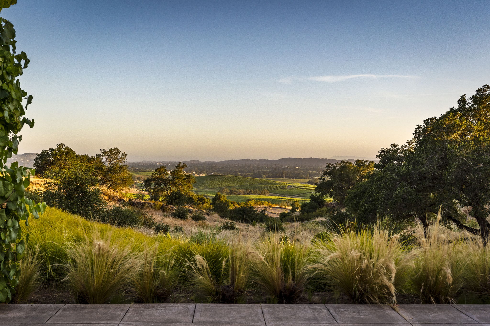  Photo 47