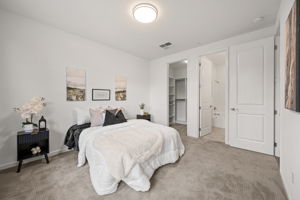 2336 Carbondale Way #2336, Dublin, CA 94568, USA Photo 34