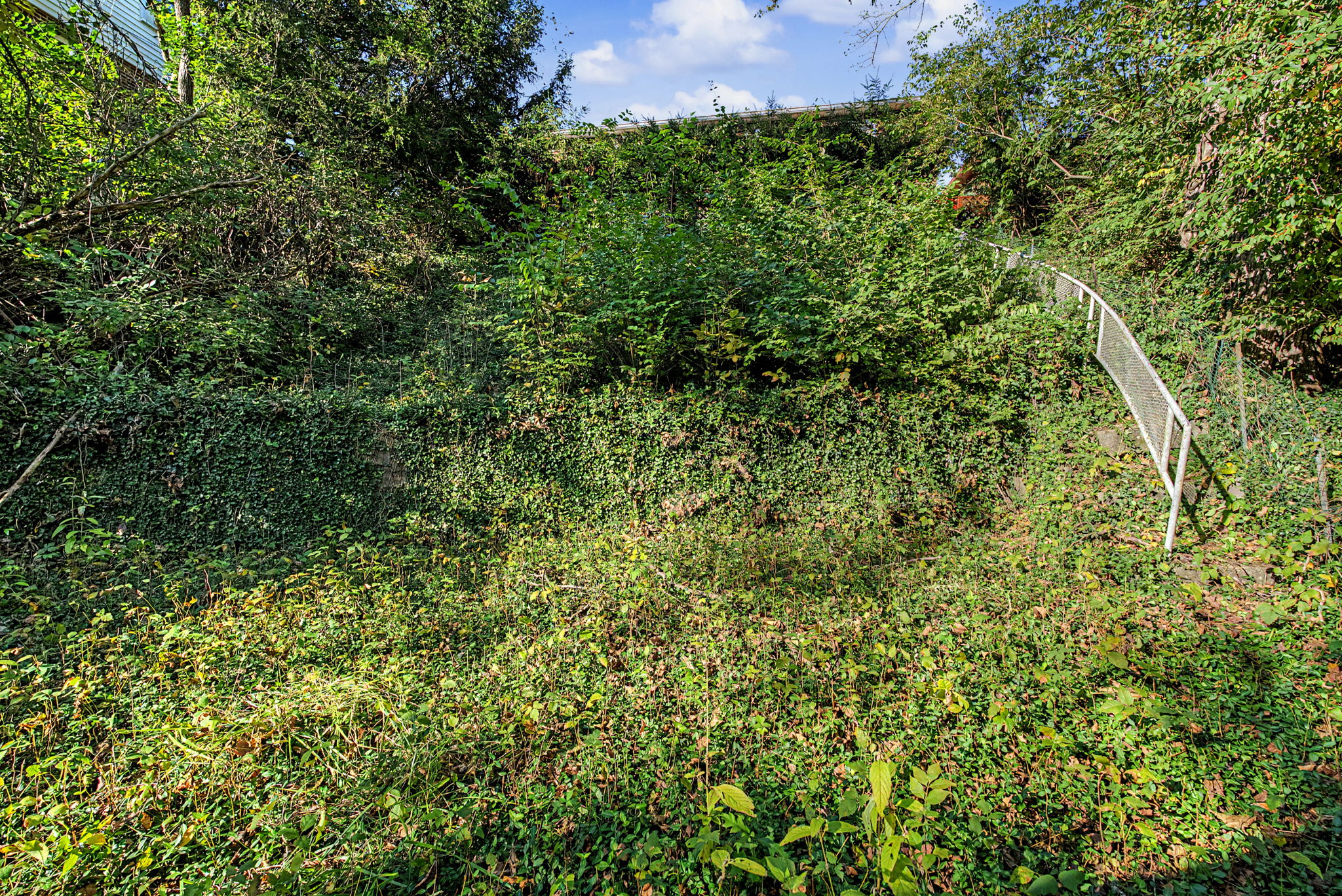  Photo 45