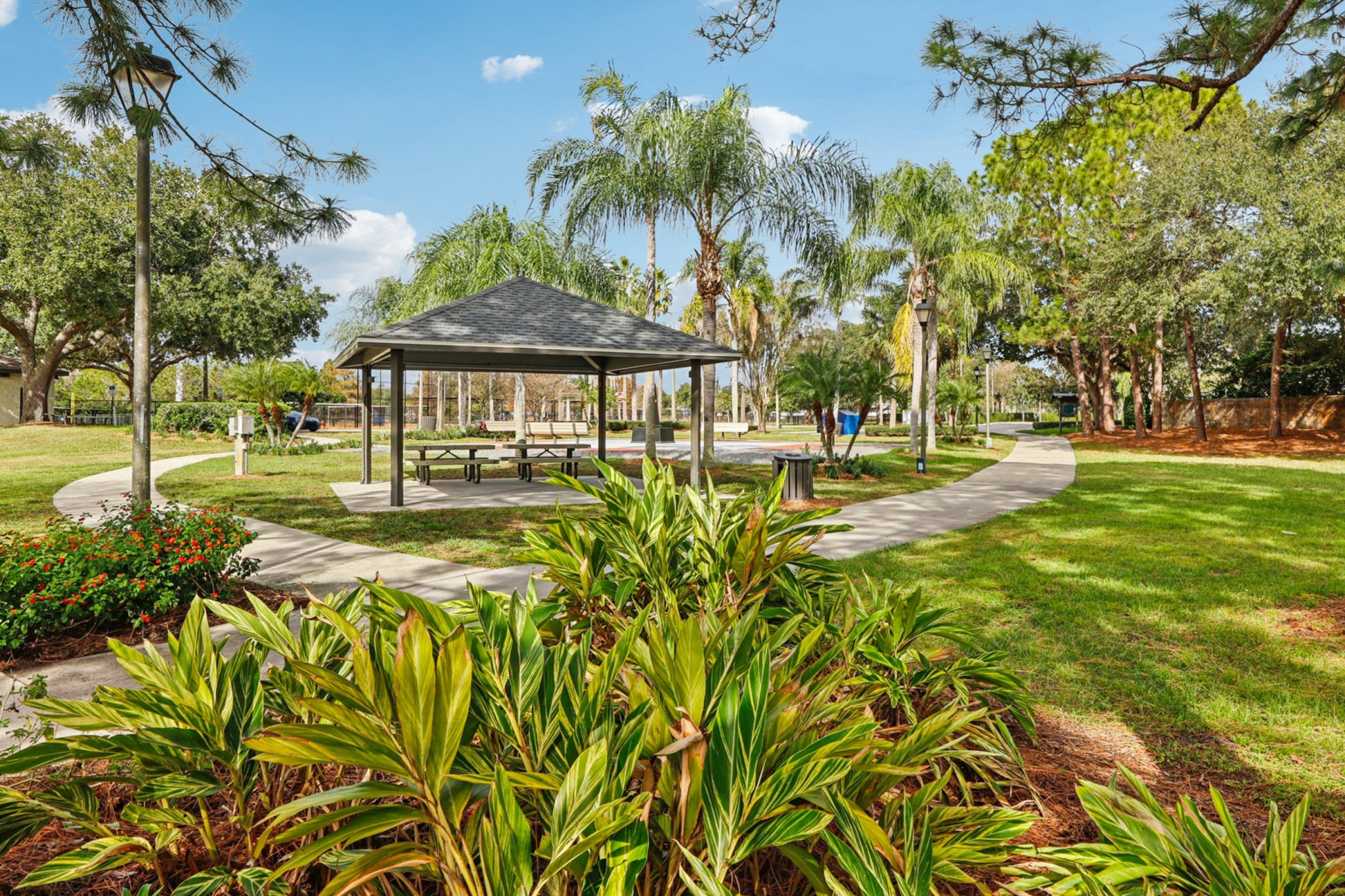 Runyon Ct-0212-902.jpg