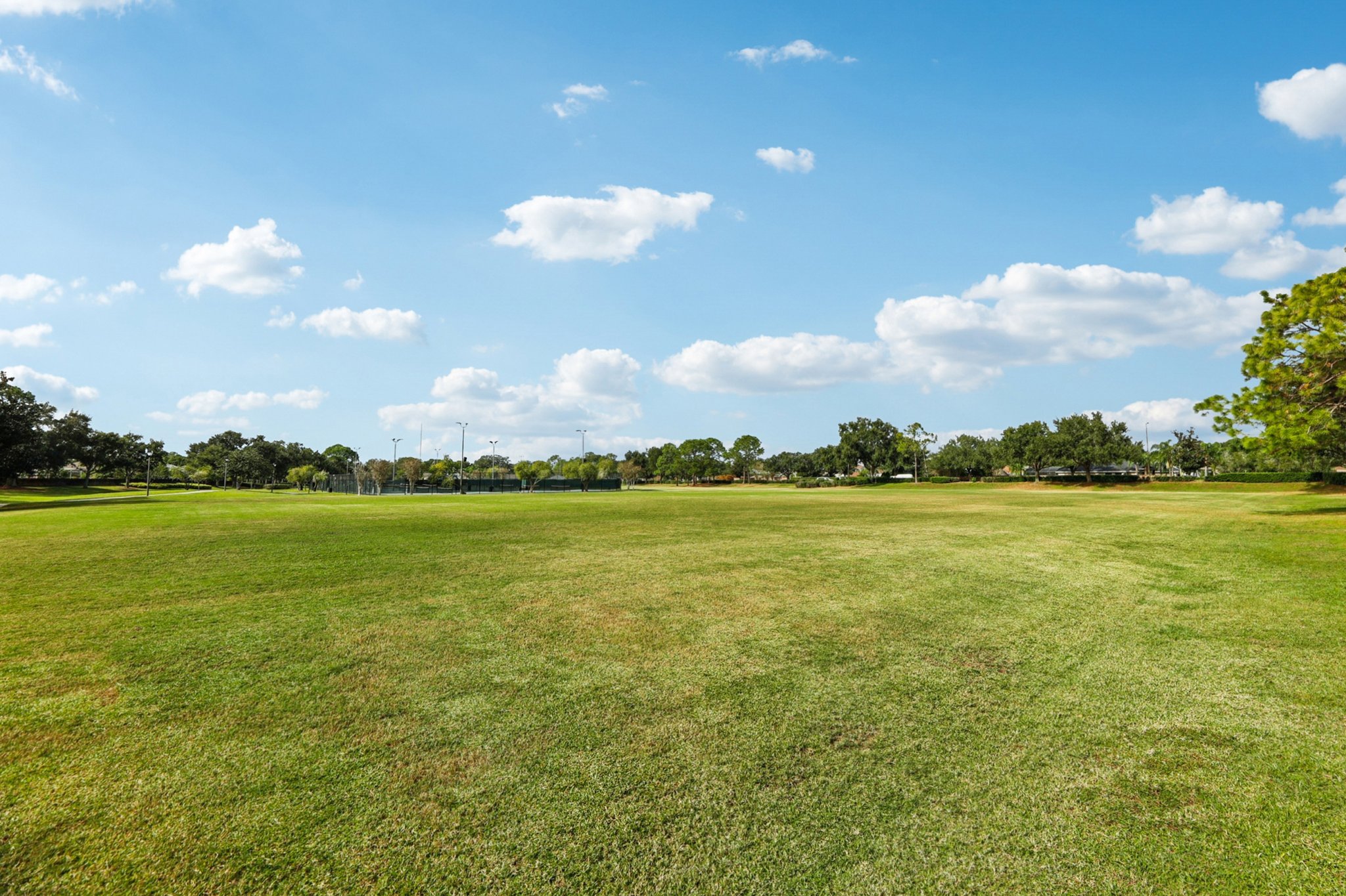 Runyon Ct-0212-910.jpg