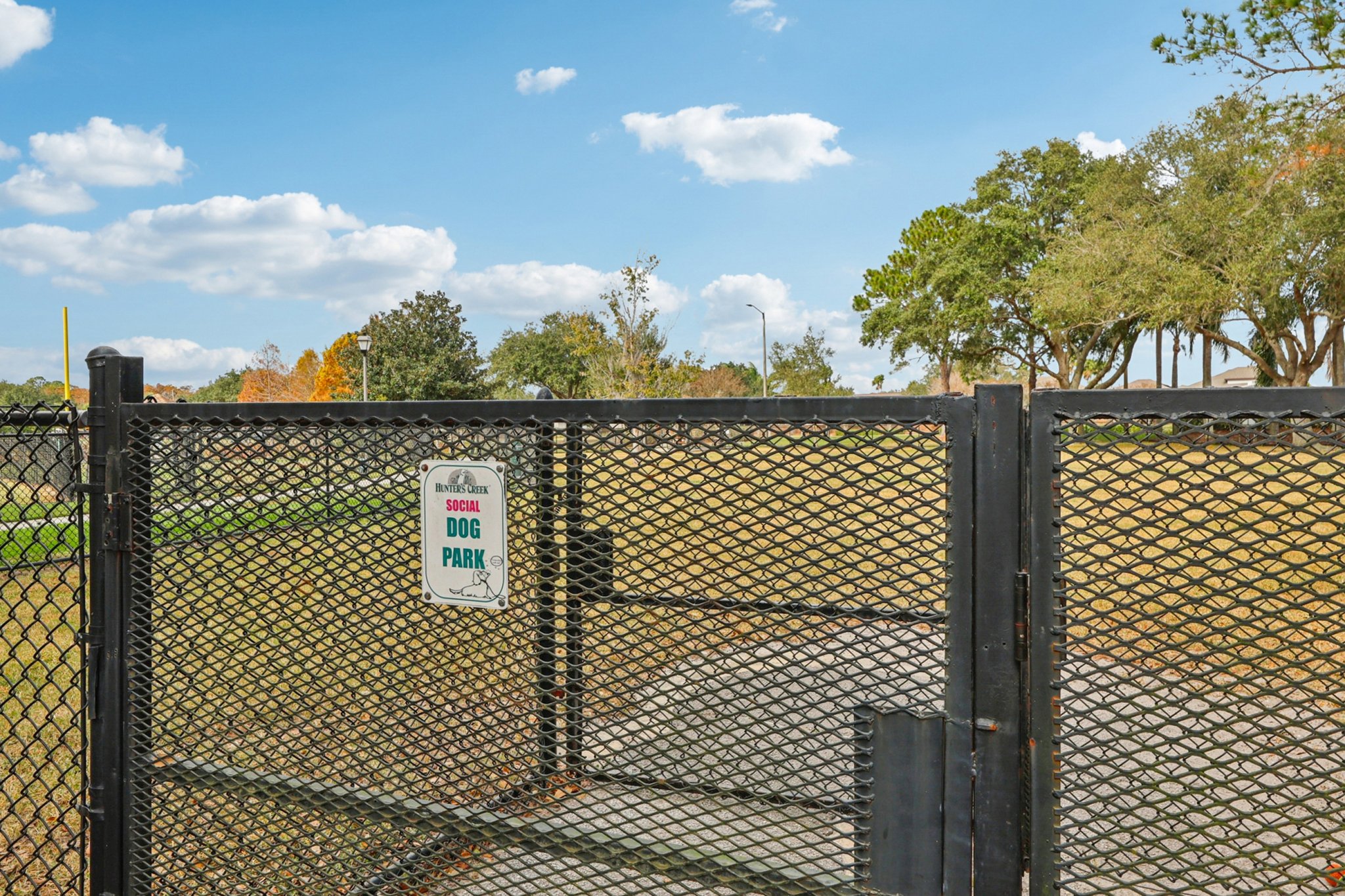 Runyon Ct-0212-918.jpg