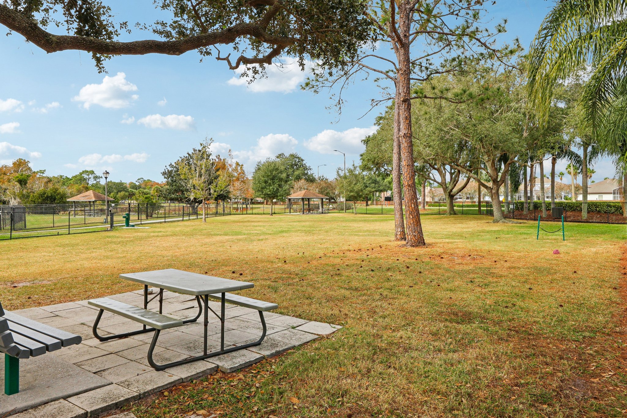 Runyon Ct-0212-919.jpg