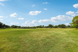 Runyon Ct-0212-910.jpg