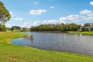 Runyon Ct-0212-917.jpg