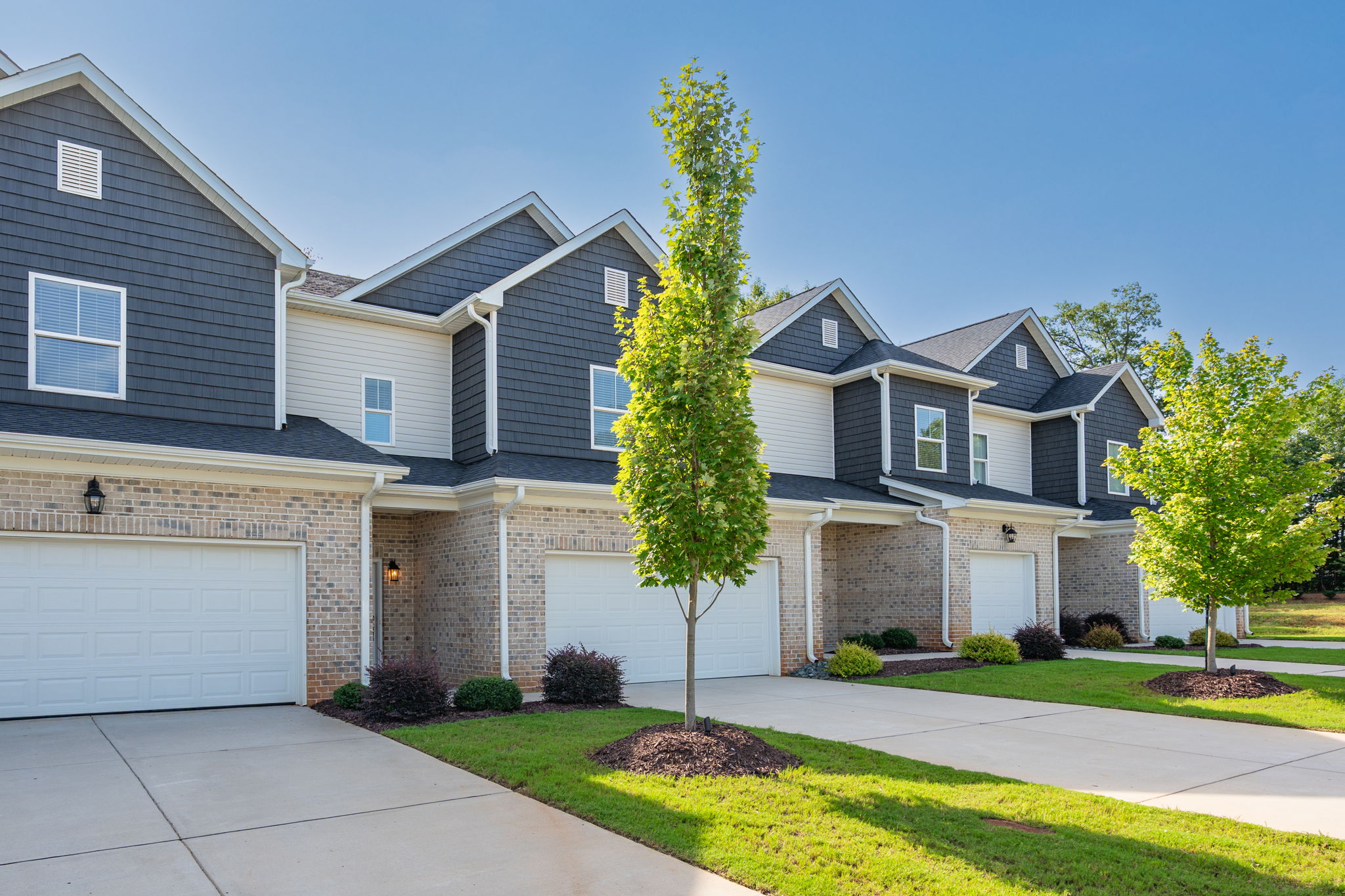 2337 Tribek Ct-4