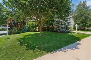 Jeffy Trail-S1007-004.jpg