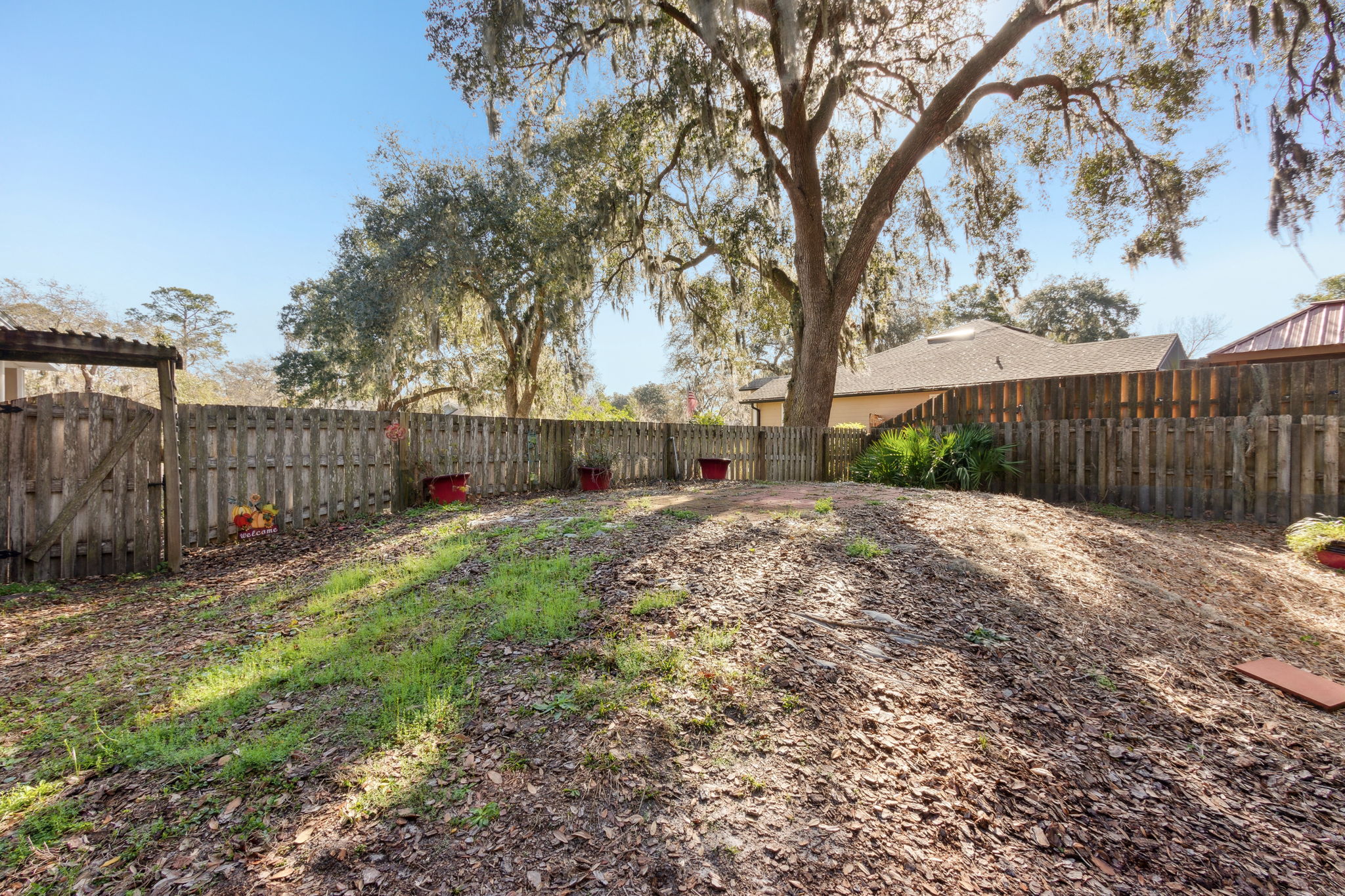 Backyard