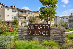 29 - Welcome to Vineyard Village