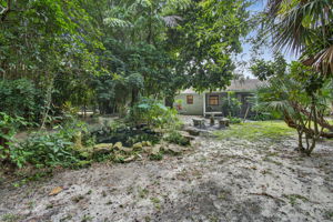  Photo 44
