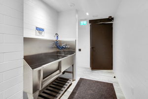  Photo 49