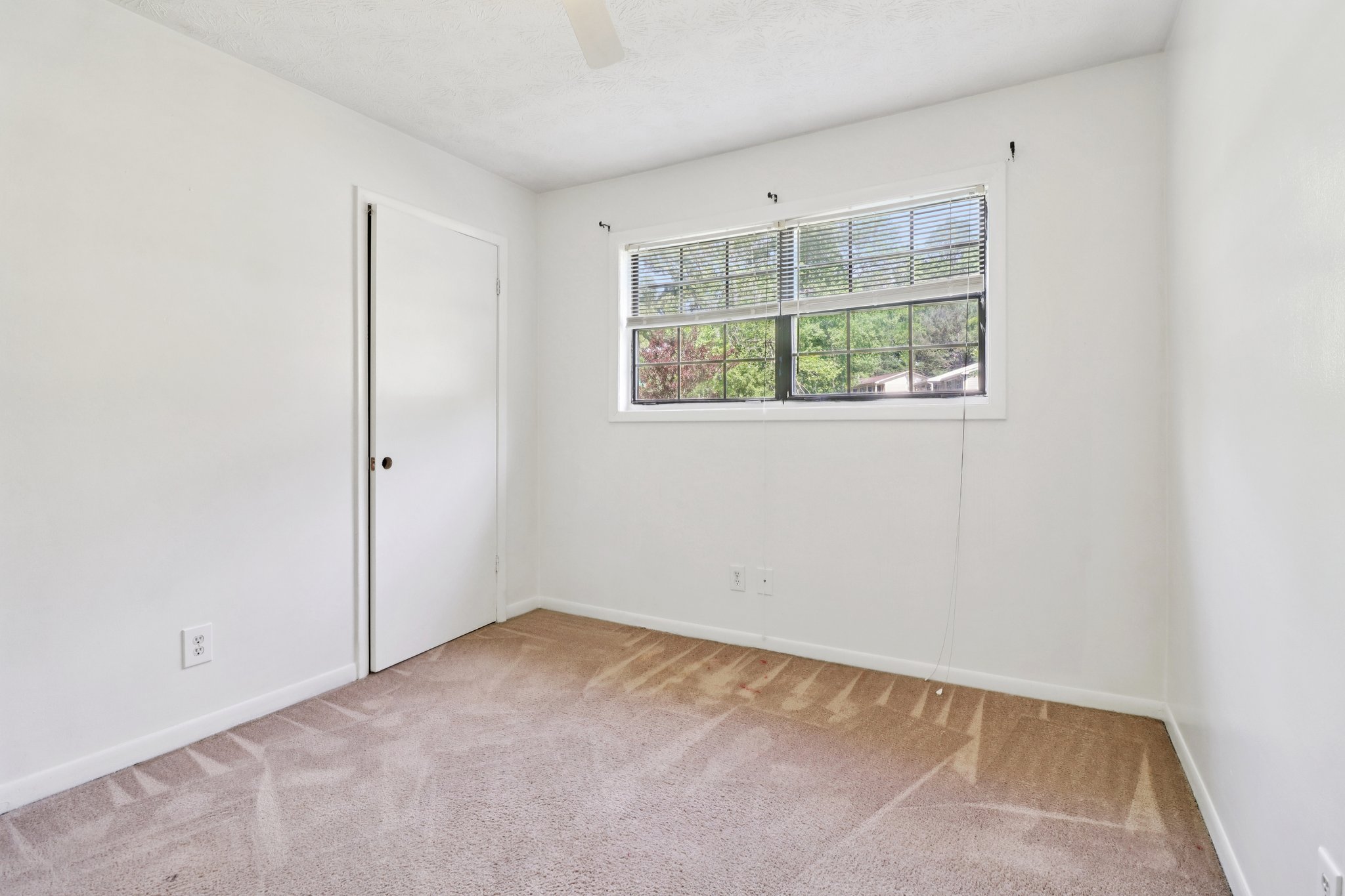 Chestnut Log Pl-S1504-033.jpg