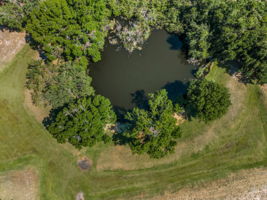 Aerial (6)