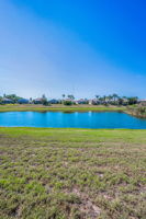 Backyard2