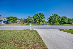 Frontyard1