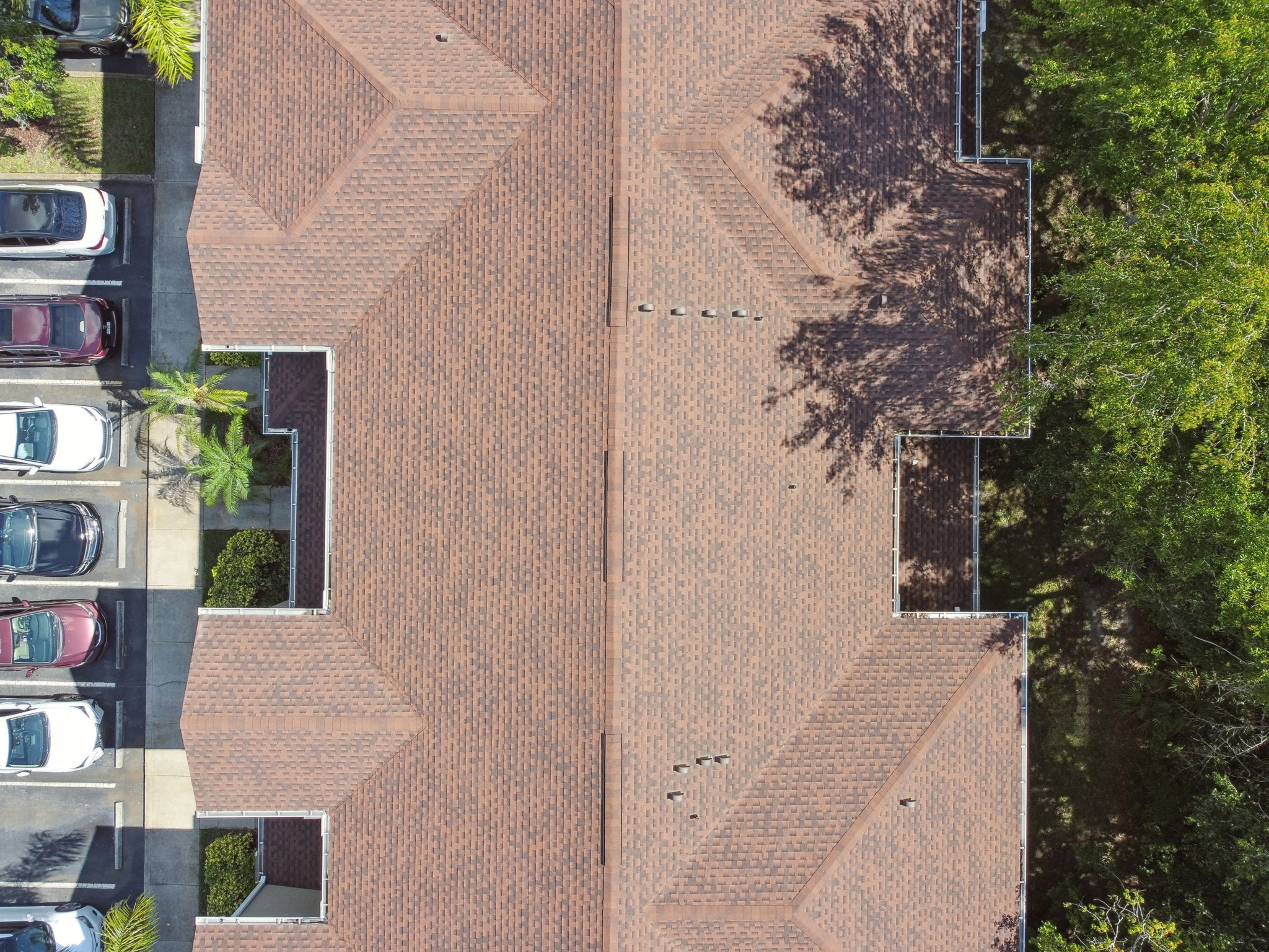 DJI_0241