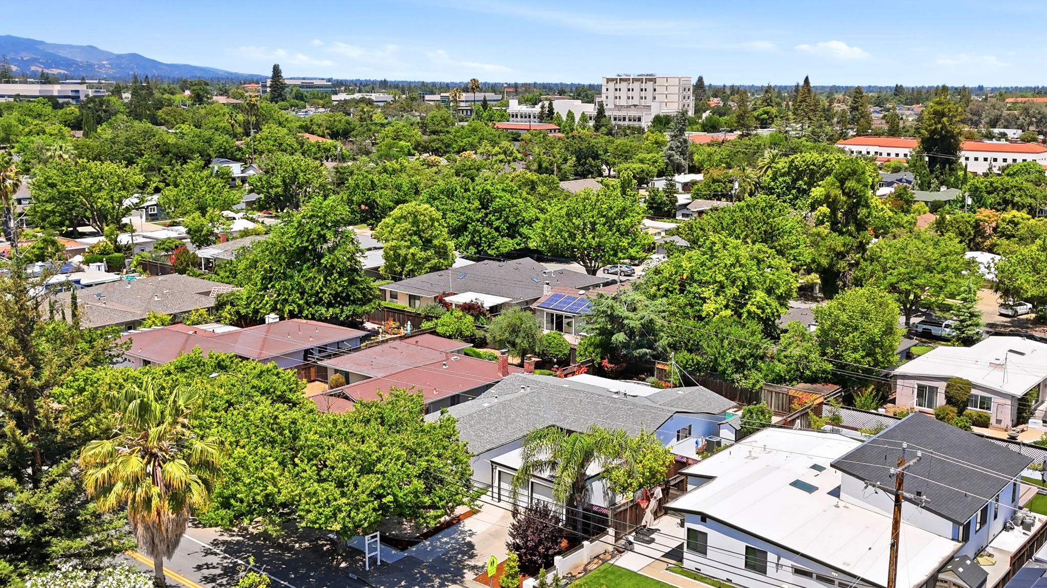 014_F8_AERIAL_2349 Carlton Ave