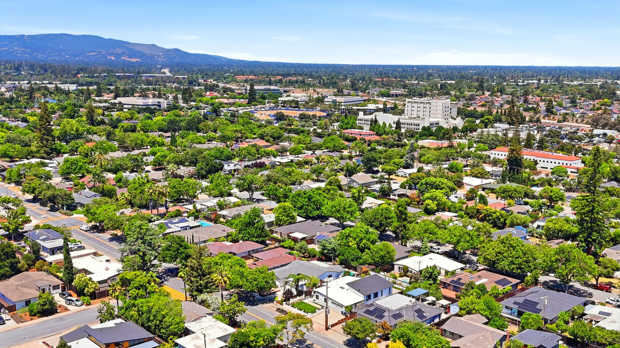 015_F8_AERIAL_2349 Carlton Ave