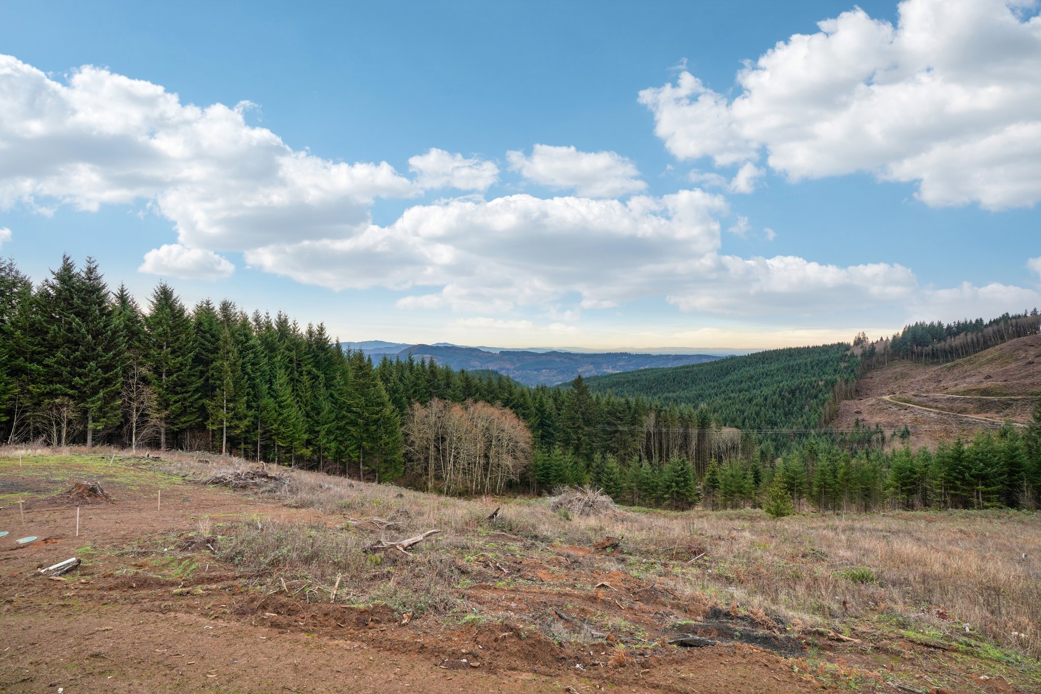 High Bank Ln-L0502-036.jpg