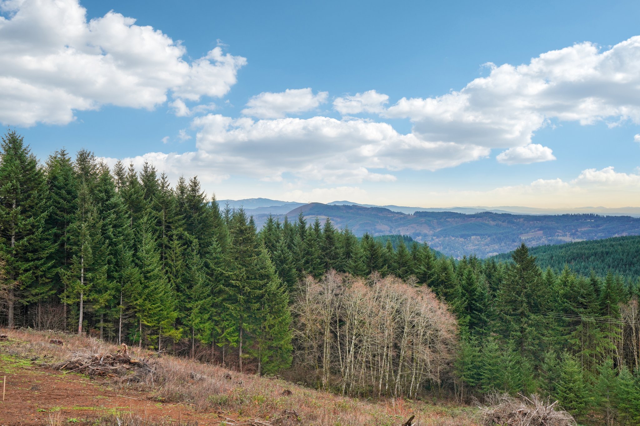 High Bank Ln-L0502-037.jpg